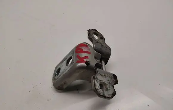 Renault Latitude (L70) Front door upper hinge 
