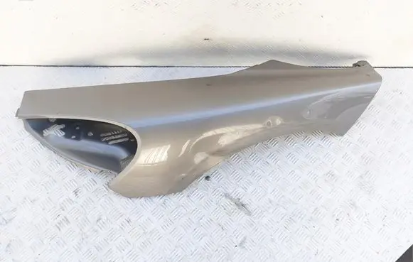 McLaren 570S Fender 13A0681CP