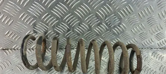 Rear coil spring