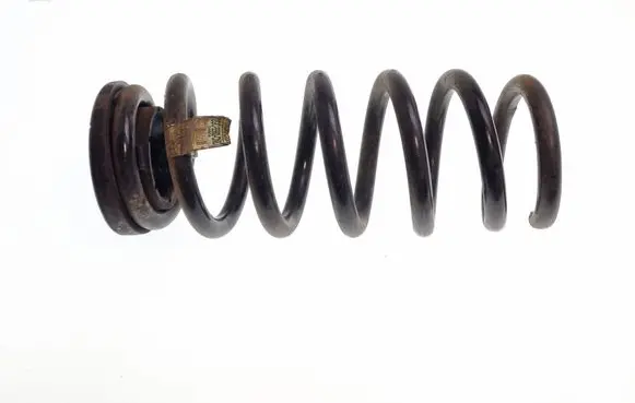 Ford Edge II Rear coil spring F2GC5560CND Q48PA