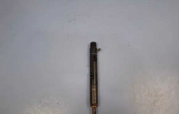 Renault Kangoo II Fuel injector 166000897R H8200827965 28237259