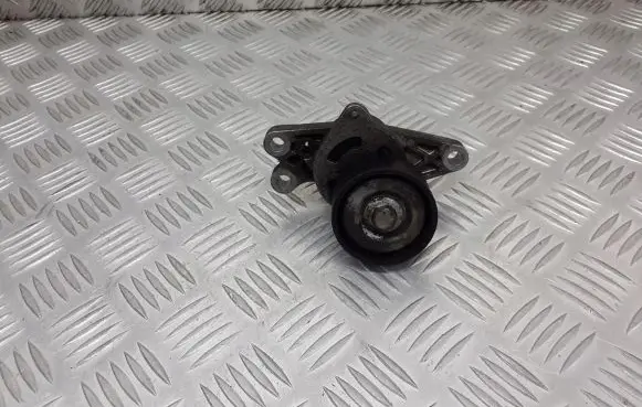 Peugeot 206 CC Alternator belt tensioner pulley 9649675880