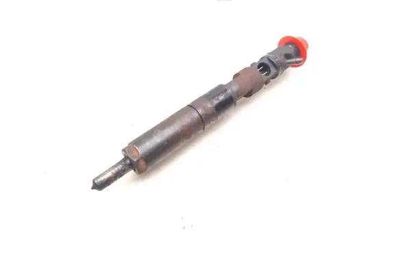 Dacia Sandero Fuel injector EJBR05101D 8200676774