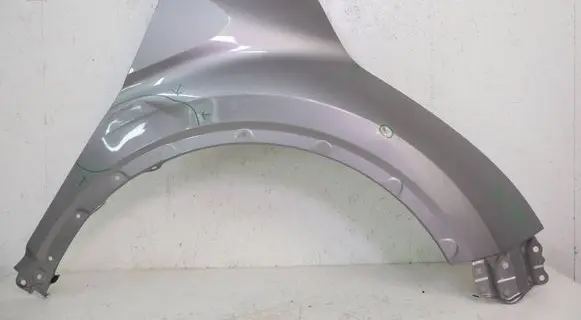 Toyota C-HR I Fender BLOTNIKCHR