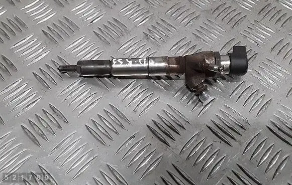 Renault Kadjar Fuel injector H8201100113 166006212R