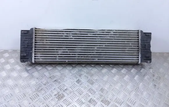 Volkswagen Crafter Intercooler radiator A9065010301 880636X