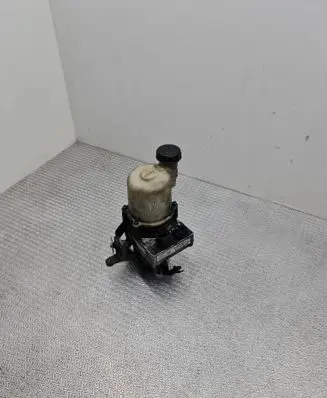 Dacia Duster Power steering pump 491100032R
