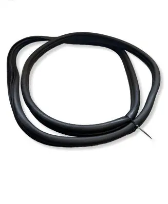 Hyundai Ioniq 5 Rubber seal rear door 