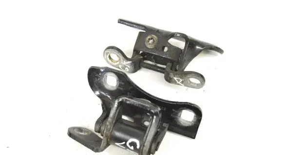 Chrysler 300 - 300C Rear door lower hinge