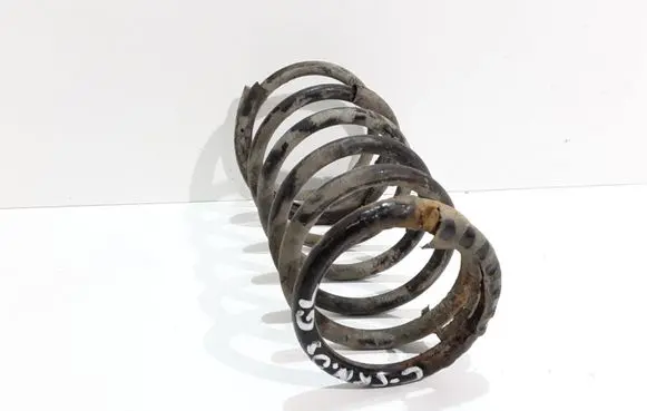Chrysler 300 - 300C Rear coil spring