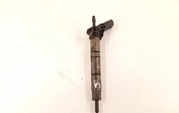 Mercedes-Benz R W251 Fuel injector 6420700587 6420701987