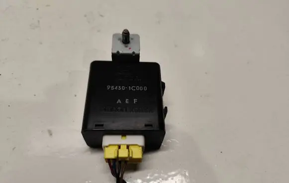 Hyundai Getz Other control units/modules 954301C000