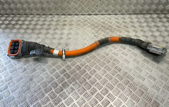 BMW 2 F45 Other wiring loom 6824129
