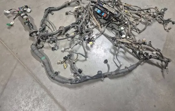 Toyota Hilux (AN10, AN20, AN30) Other wiring loom