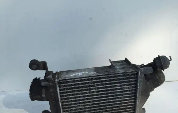 Opel Monterey Intercooler radiator 8970899433