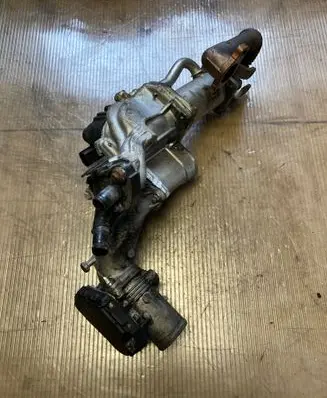 Renault Laguna III Throttle valve 8200302798 719189611561 D501918000