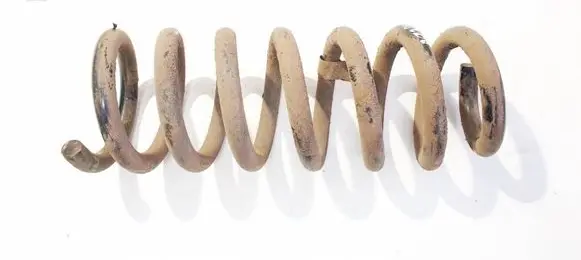 Rear coil spring