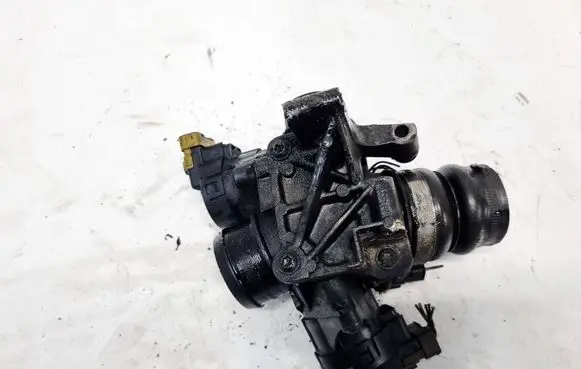 Peugeot 407 Throttle valve