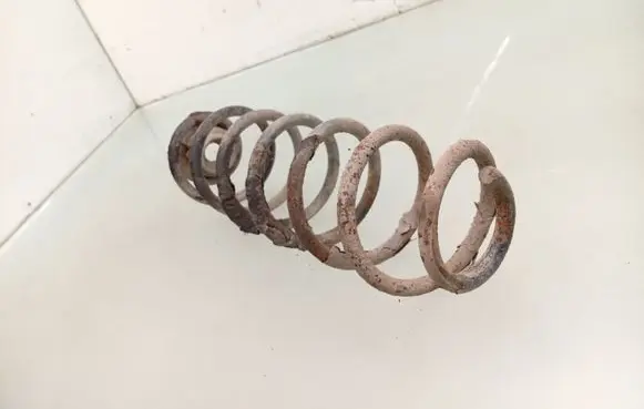 Rear coil spring