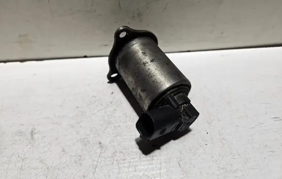 EGR valve
