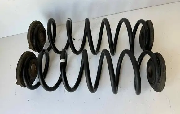 Rear coil spring
