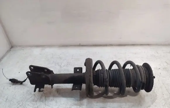 Opel Movano B Front shock absorber with coil spring