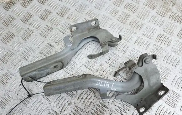 Nissan Juke I F15 Engine bonnet/hood hinges 1BR 1BL