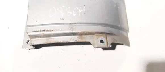 Rear/tail light trim molding