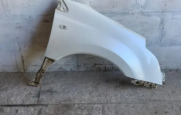 Fender
