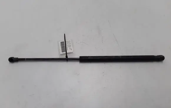 Tailgate strut