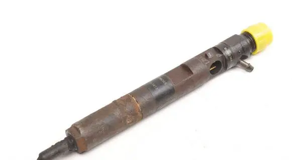 Renault Kangoo I Fuel injector 8200206565