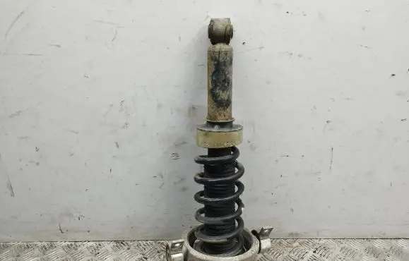 Porsche Cayenne (9PA) Rear shock absorber with coil spring 7L5512021