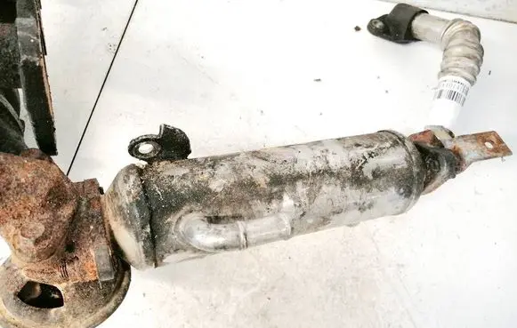 EGR valve cooler