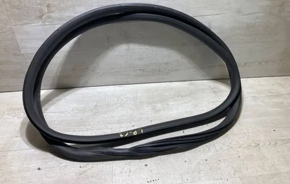 Citroen C3 Front door rubber seal 9813059580