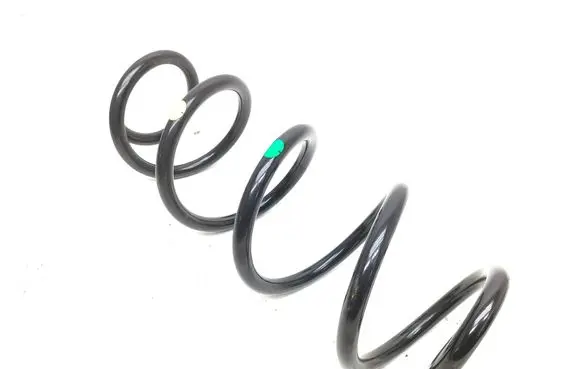 Rear coil spring