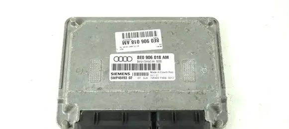 Engine control unit/module ECU