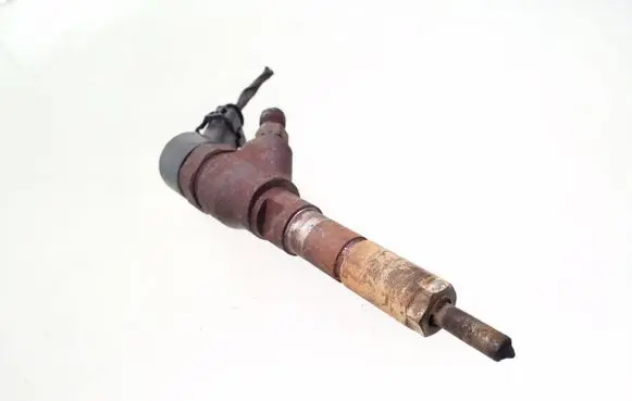 Citroen C5 Fuel injector 0445110076 9641742880