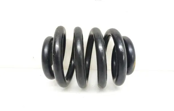 Rear coil spring
