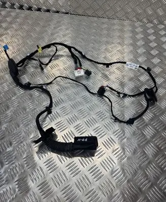 Front door wiring loom