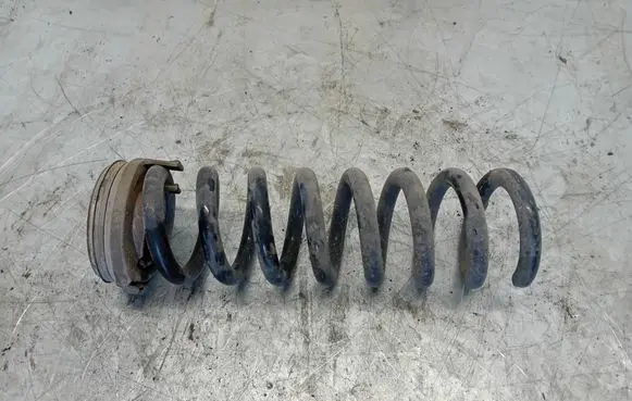 Rear coil spring