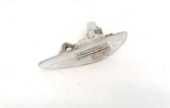 Front fender indicator light