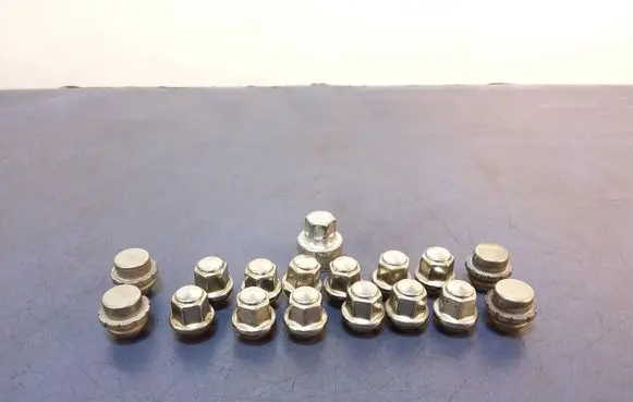 Ford Ecosport Nuts/bolts 