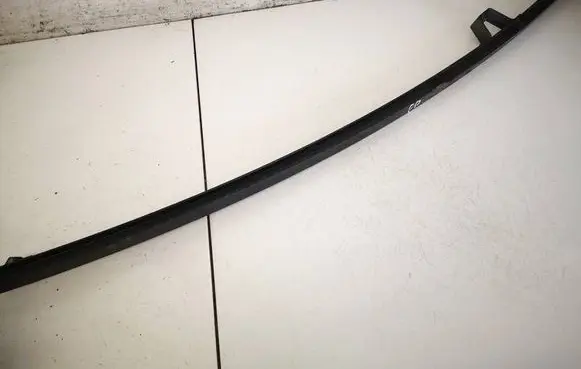 Renault Scenic II - Grand scenic II Front door glass trim molding