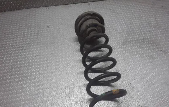 Renault Megane II Rear coil spring