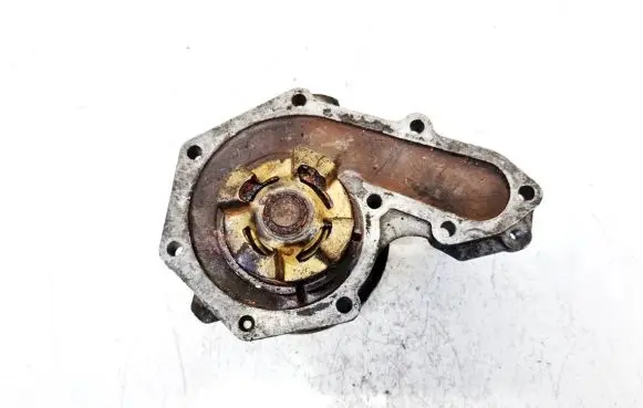 Renault 19 Water pump 7700599052