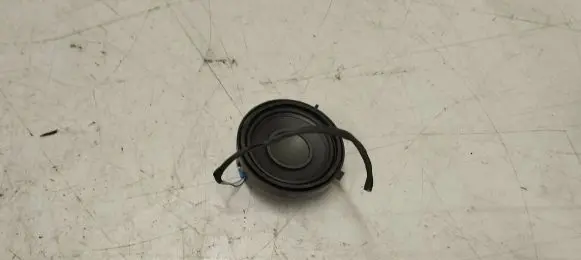 Panel speaker
