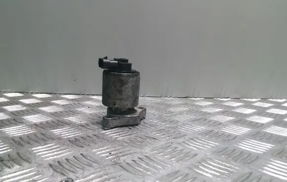 EGR valve