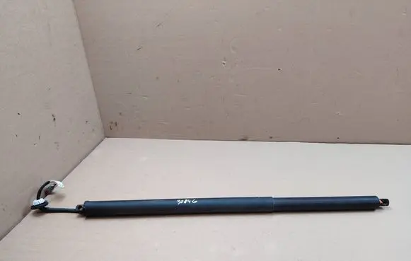Ford Mustang Mach-E Tailgate/trunk strut/damper LJ8BR402A55AD