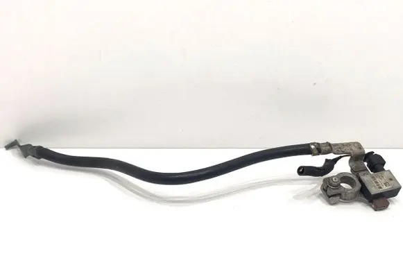 Ford Kuga II Negative earth cable (battery) F1FT10C679BA