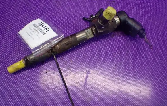 Renault Scenic II - Grand scenic II Fuel injector 8200294788